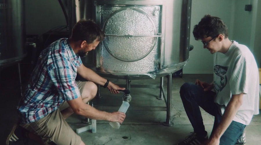 Yeast in the Brewing Process