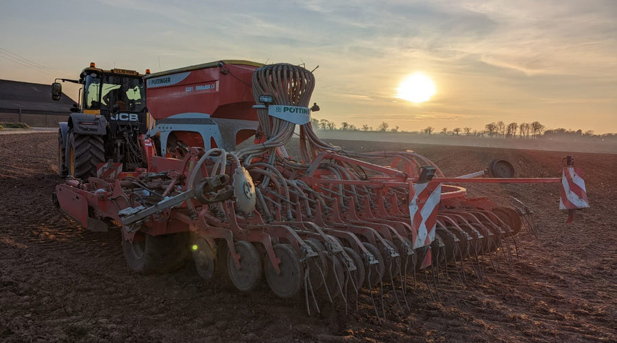 SUSTAINABILITY - The Future of the Business and the Planet..
