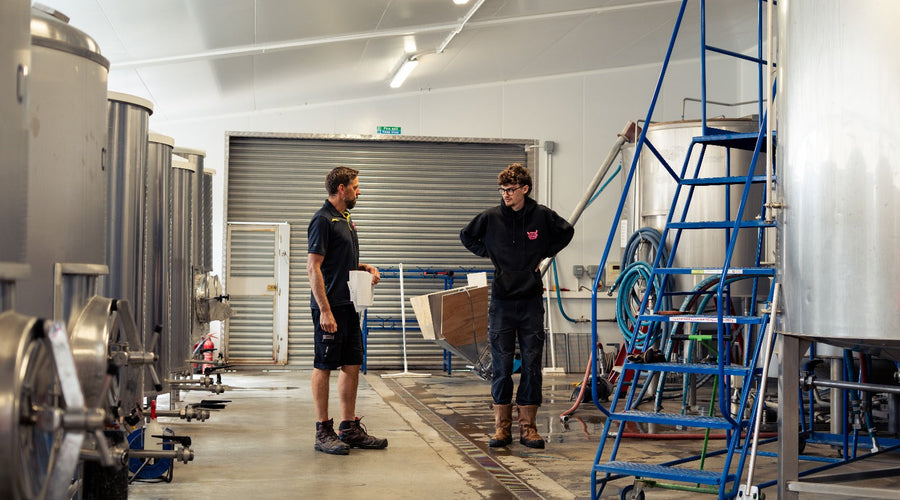 Packaging upgrades: faster turns, fresher beer, happier margins