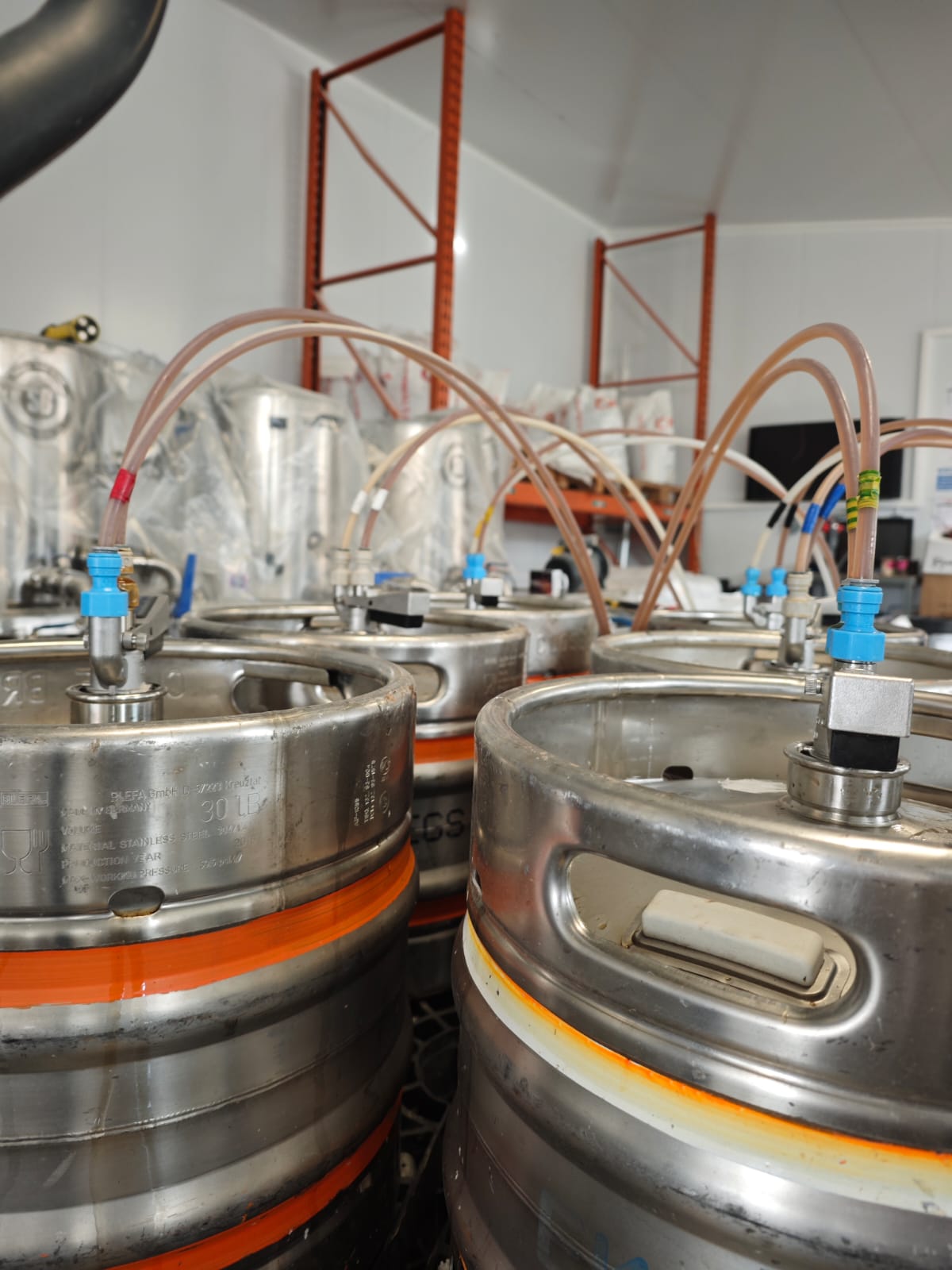Stainless steel kegs connected to the kegging equipment at Wildcraft Brewery
