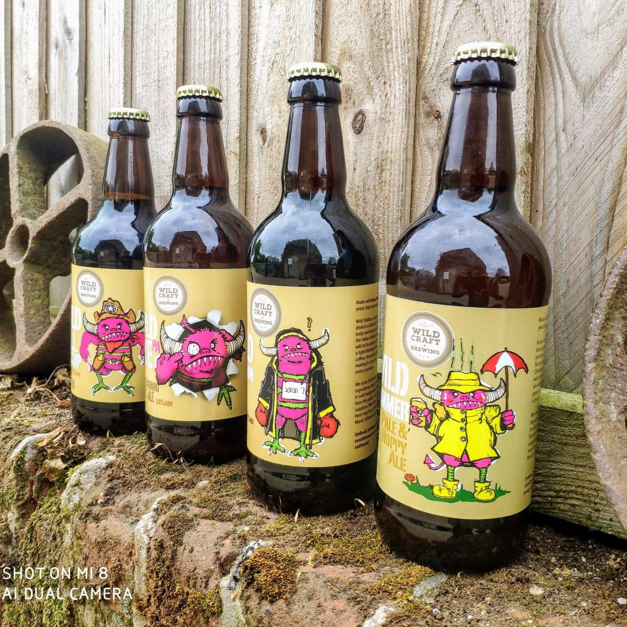 No Nonsense 12 Pack - Wildcraft Brewery